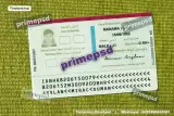 bahrain id card psd view of the reverse document example