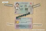 Oman ID Card Photoshop Template front and back view preview for digital download